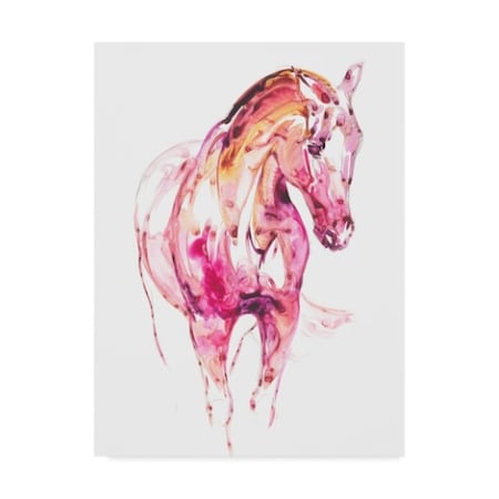 Julie T. Chapman 'Garnet Horse Iii' Canvas Art,35x47
